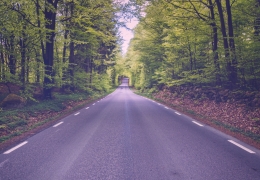 The Road Ahead