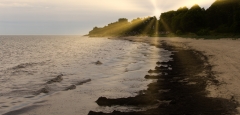 Shoreline by the Baltic Sea